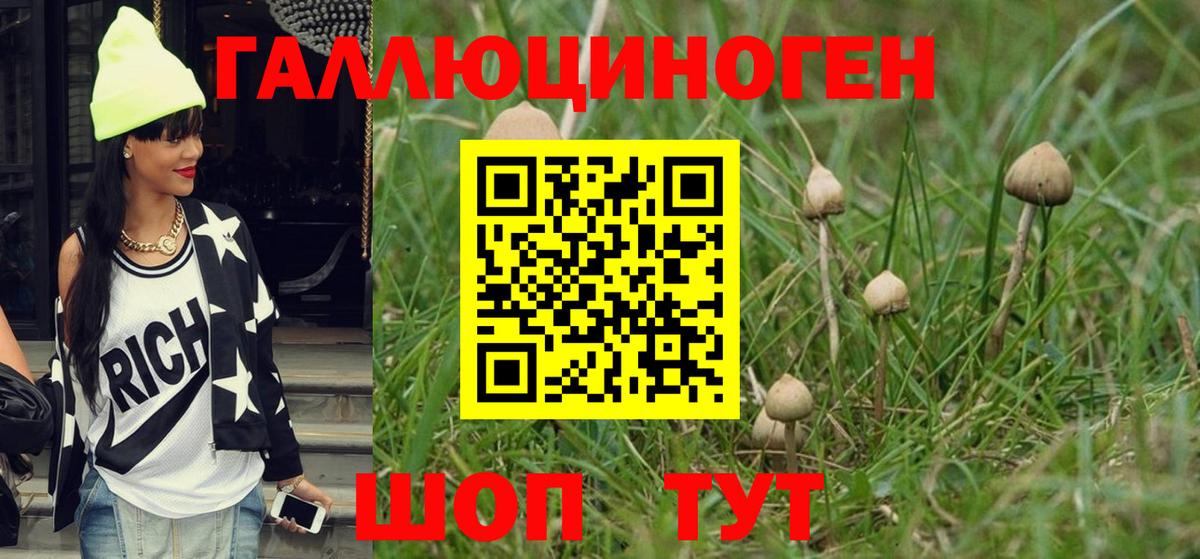 Псилоцибиновые грибы ЛСД  Галлюциногенные грибы Psilocybe  Печора  Вход с VPN 