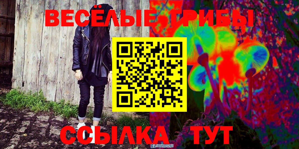 Псилоцибиновые грибы GOLDEN TEACHER Печора